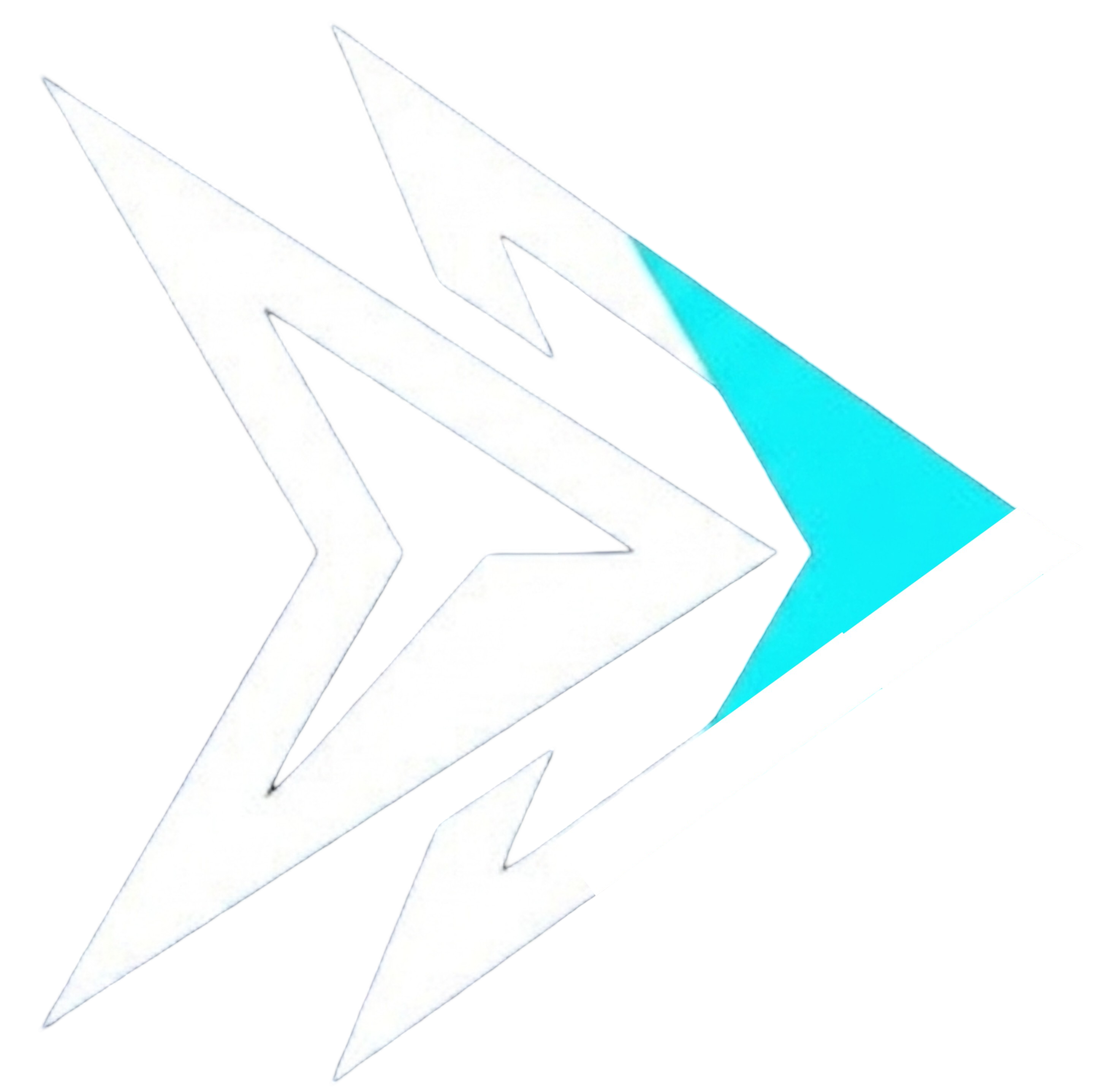 FlinMax
